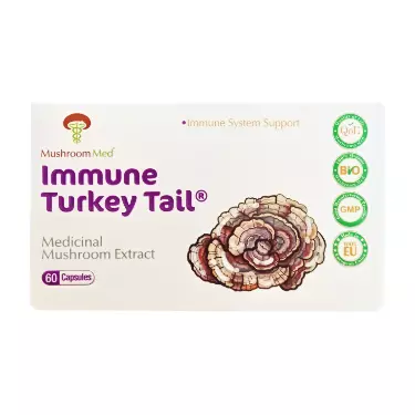 کپسول ایمیون ترکی تیل 60 عددی ماشروم مد