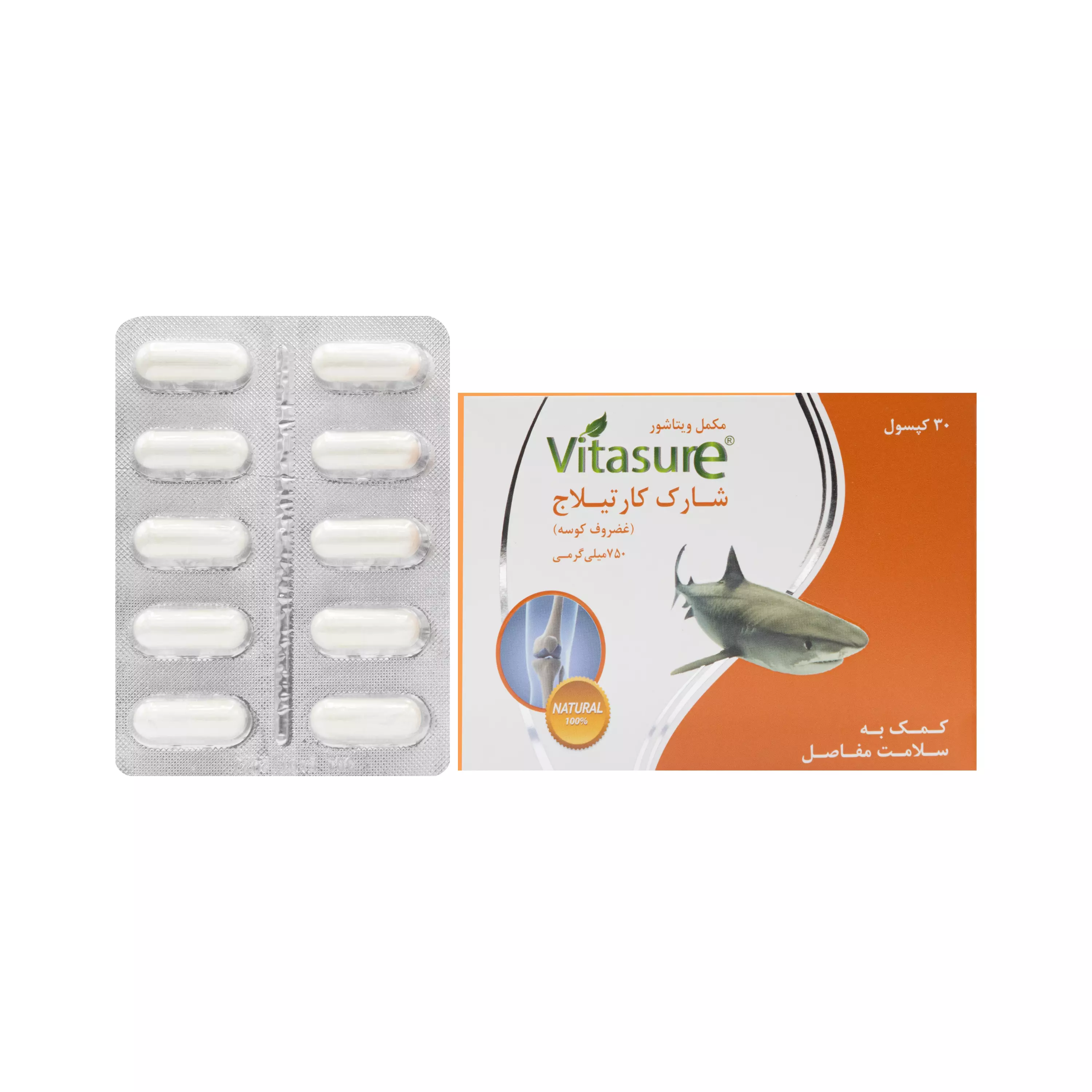 کپسول شارک کارتیلاج 750 میلی گرم ویتاشور
